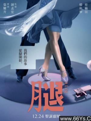 女装尺码解析